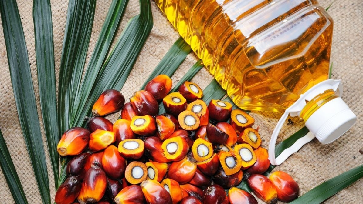 Palm oil, CBP, US, vegetable oil, Facebook