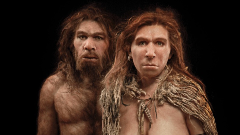 COVID-19, Neanderthal deoxyribonucleic acid, American, UK, Patients