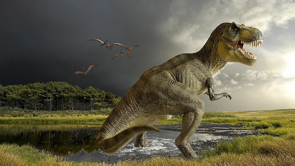 Tyrannosaurus Rex, Dinosaurs,  Carnivorous Dinosaurs,  T-Rex fossil, Tyrannosaurus Jackpot