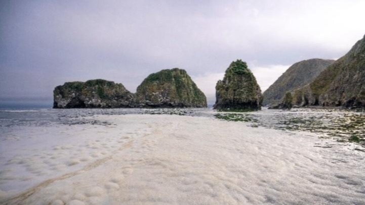 Russia's NGO branch,  Kamchatka region, oil merchandise,  ocean,  Soviet-era storage ground