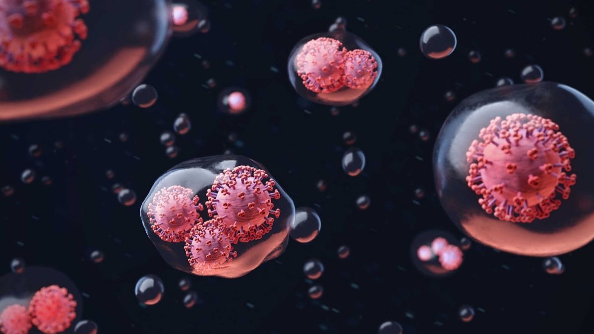 SARS-CoV-2, COVID-19, Virus, animals, Mammals, study