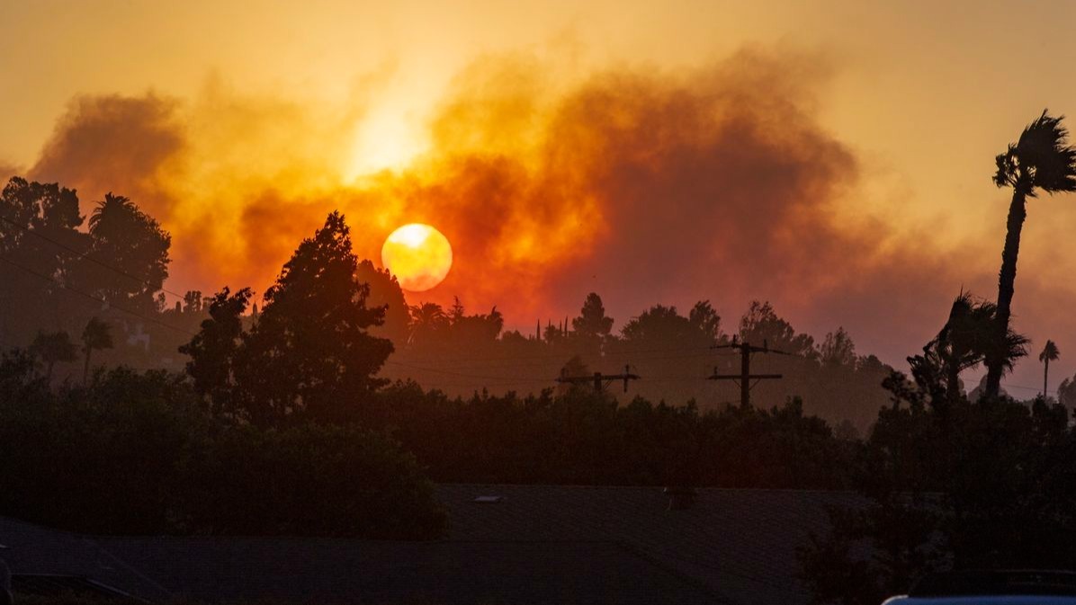 Bomb, Bomb blast in Pakistan , Bomb blast in seminary, kids injured in bombblast, Peshawar, Pakistan