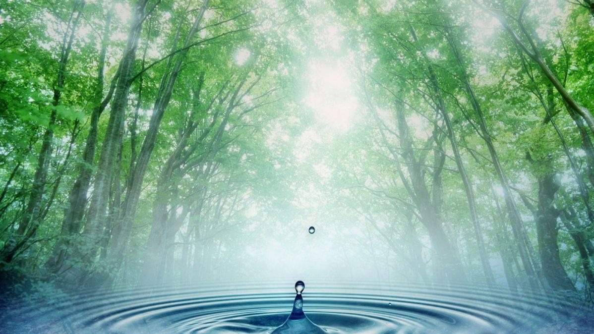 Roman Custom, heavenly water , Holy water, purging,  insurance,  or gifts.