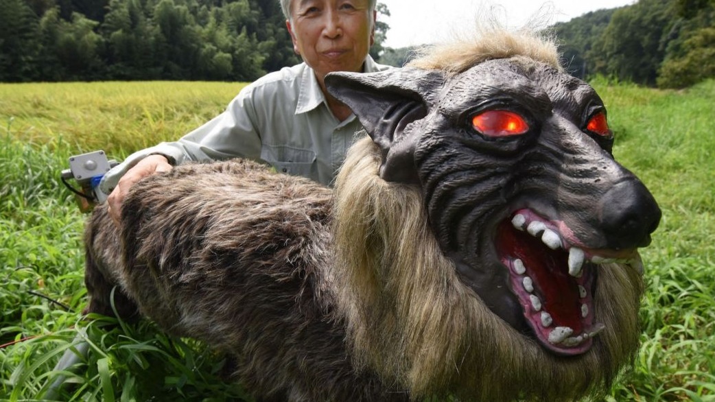 Monster Wolf , Beast Wolf', Japan, robot wolves , Hokkaido, Ohta Seiki , bears, Japanese wolves