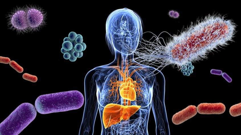 Health , malady, hyperglycemia, Kaposi's sarcoma, Bacteria,  viruses,  protozoa