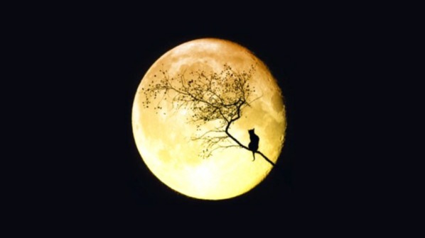 penumbral lunar shroud. , full moon day, lunar obscuration. , NASA, astronomy