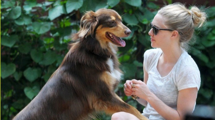 Hollywood Slopes area. , hollywood, Chrishell Stause , dog, evening walk