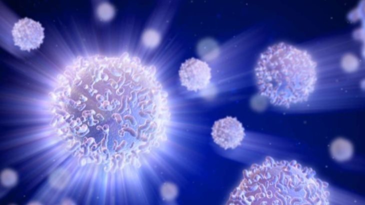 White blood cells , tumor, tumor cells, cancer models, Tumor Death