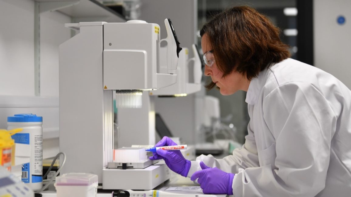 William Shakespeare, corona, covid, biggest immunization drives,  Stratford-upon-Avon