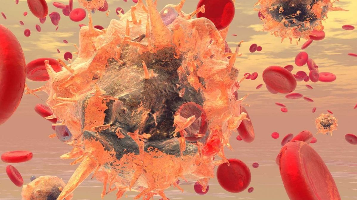 White blood cells , (WBCs), Neutrophils, Eosinophils, B and T cells, microorganism