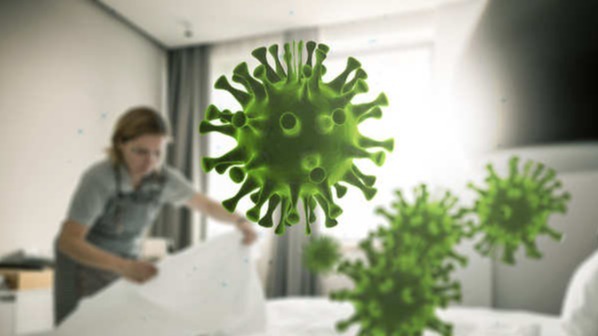 bacterium,  Kingdom of Spain, humans, microorganisms, giant, Bacteria