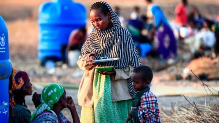 UN, Tigray People's Liberation Front , Unicef, Abiy Ahmed, government