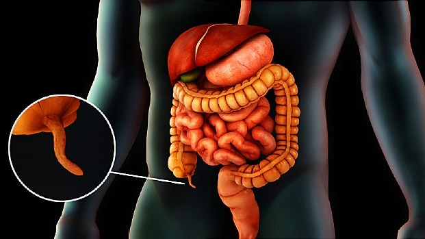 diarrhea., diseases, surgery, Antibiotics, health