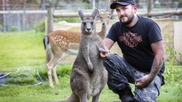 Sydney , London, kangaroos, Australia, ecological conditions