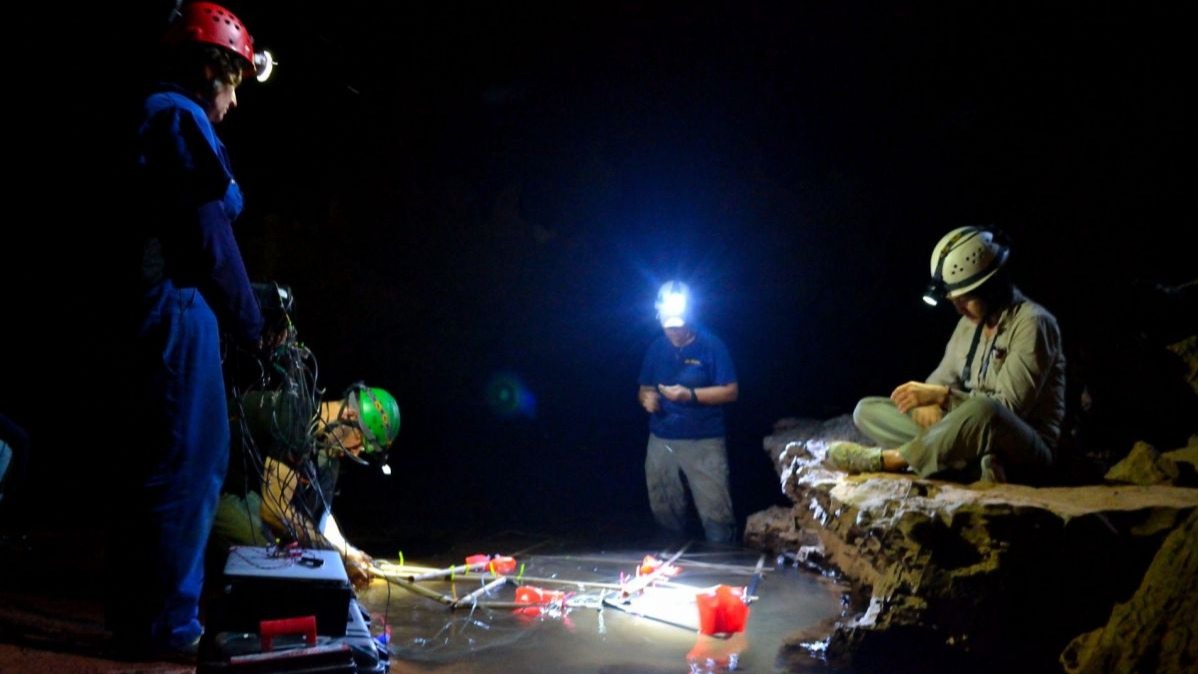 Brazil&rsquo;s , Amazon, New Jersey Institute of Technology (NJIT), spooky interactions, Electrical Fish