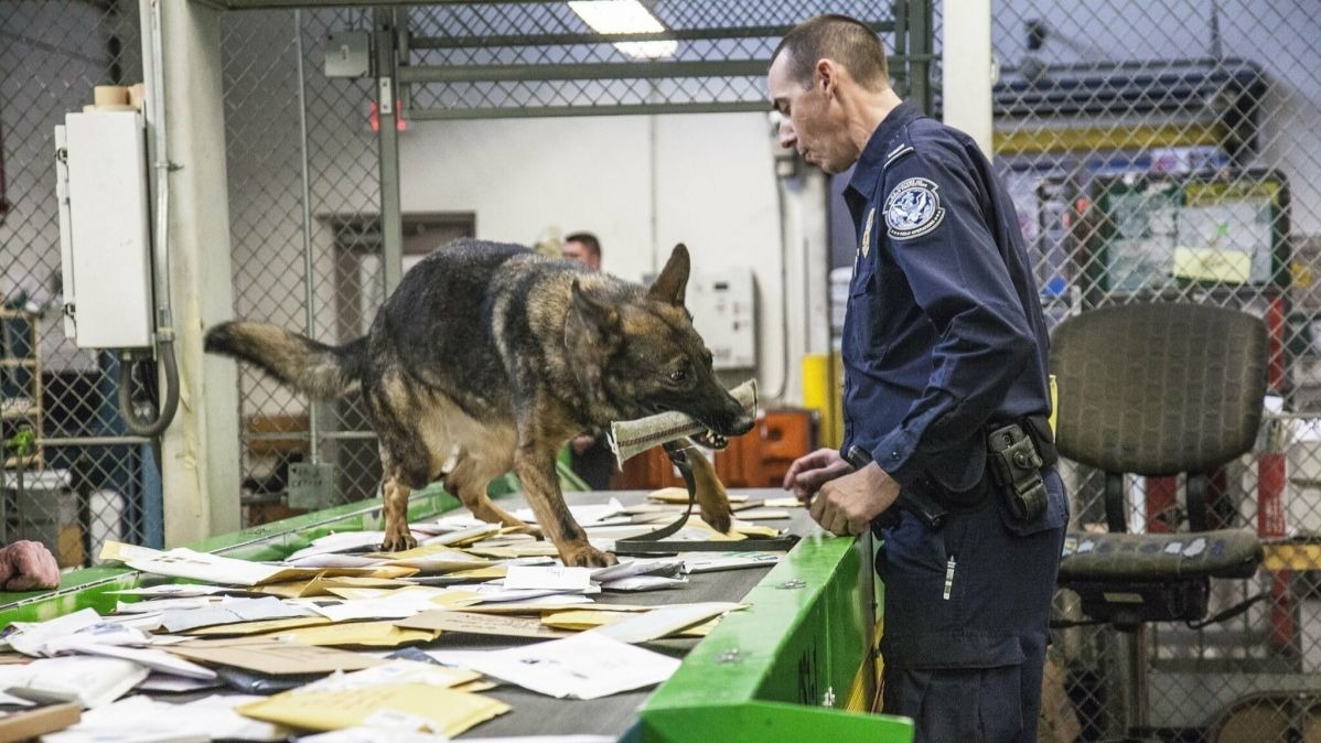 Terrence Fischer, K9 Chemistry, Jennifer Jankiewicz, methodology, Trained dog