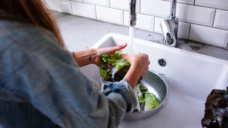 infections, enterobacteria , microorganism, immense, medical