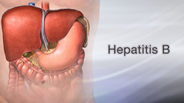 hepatitis B virus , (HBV),  Eurasia, genomes, Diseases, Australia