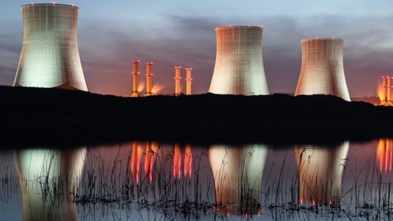 bacteria , Zobellella denitrificans ZD1, glycerine, fatty acids,  fatty acids,  salts,  wood alcohol