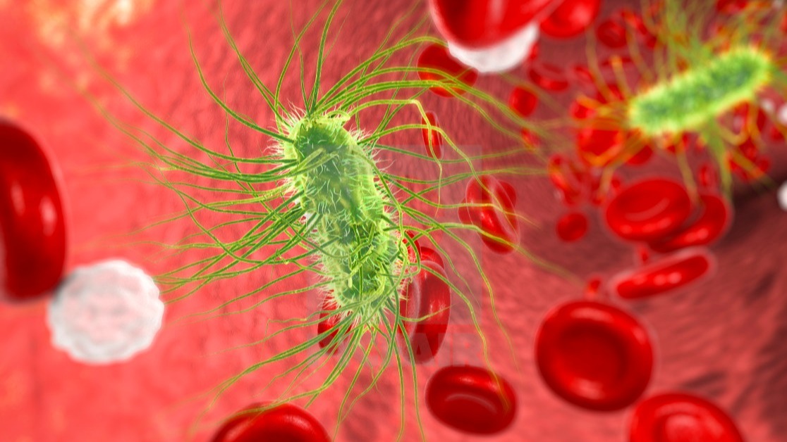 Cancer medication,  microorganism,  E. coli,  science, bacteria