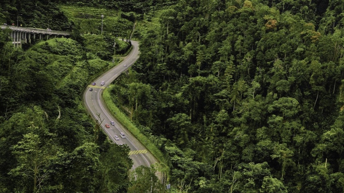 microorganism life,  gut microbiomes, animal microbiomes, biology,  focal species, Leaf Microbiomes