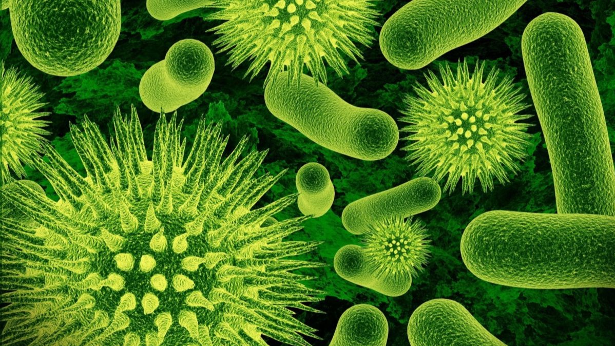 Social , Bacterium, Topology,  cells, rod-shaped microbes, Fingerprints