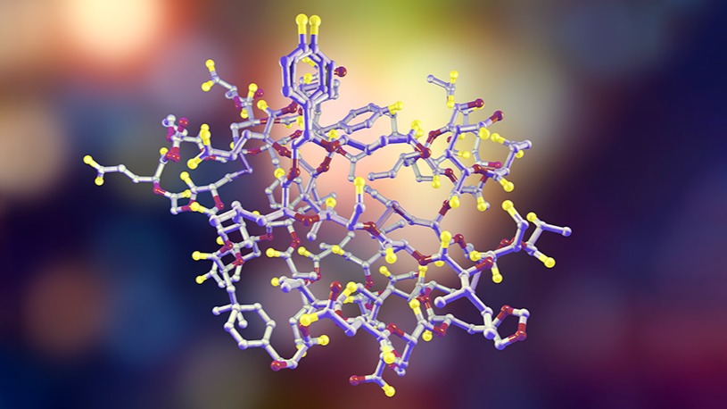 Lipocalin-2 (LCN2), WHO,  Physiology , animals, blood sugar, eye,  New York,  US