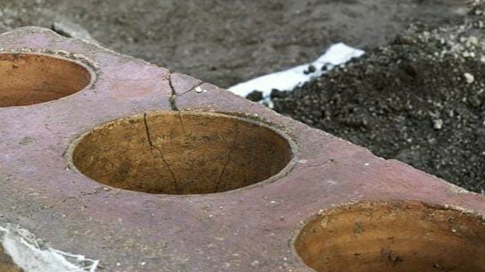 food , numerous, fairy , creatures , discovered