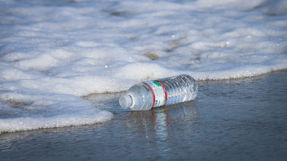 Microplastics, Mouse Cells, humans,  biological molecules, animal,  plant,  microbic communities.