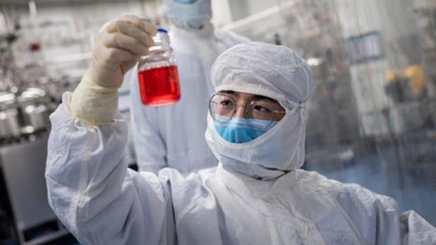 Brazil,  China, Turkey,  land.,  Covid-19,  deaths, Sinovac Biotech