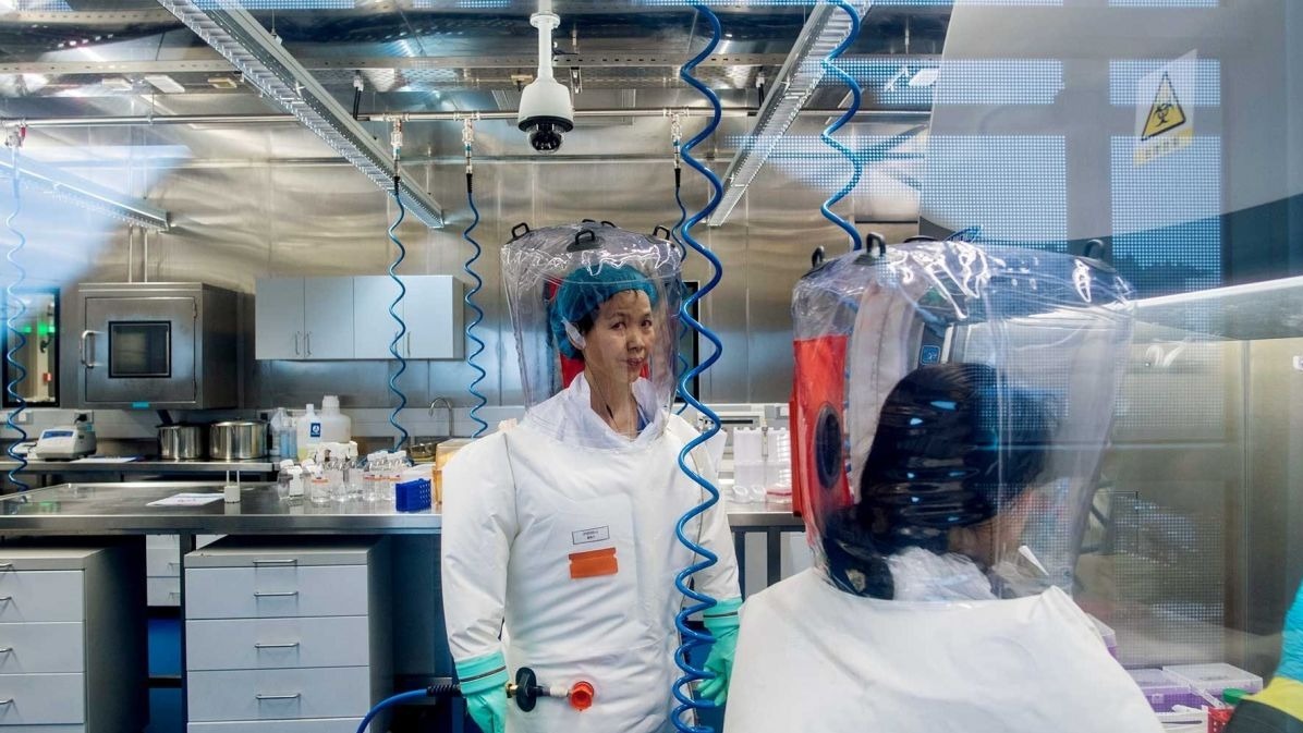 WHO ,  University of North Carolina at Greensboro,  Hazardously Contagious,  UK, US