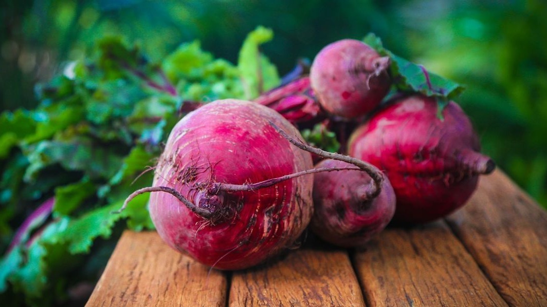 bacteria,  viruses,   insects, peptide,  Alzheimer's, Beetroot, drug