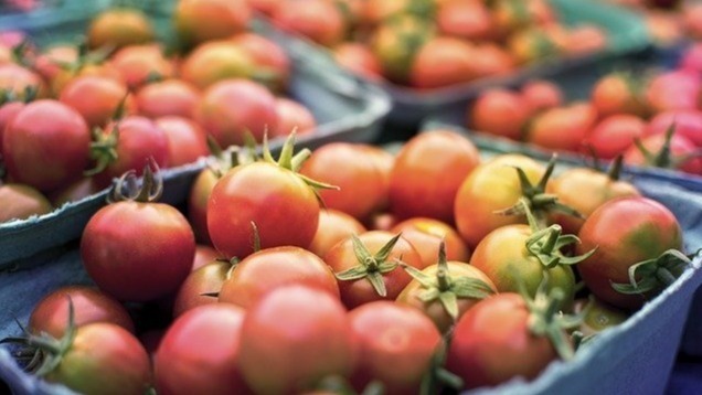 Exotic Asian spices, human calculus, food, bacterium, Ludwig-Maximilians-Universit&auml;t in Muenchen, Tatar Analyses