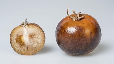 Scientists, Parkinson's' illness, molecule, aminoalkanoic acid ,  genetically changed , Tomato