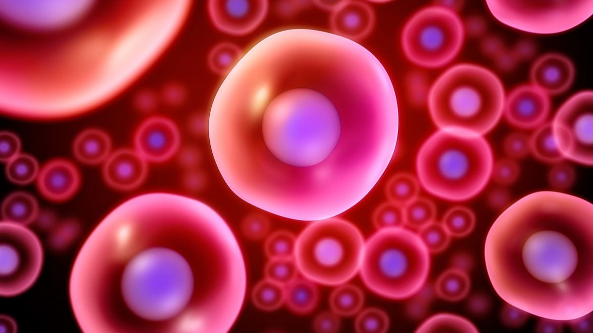 potent cells ,  Establishment , stem cells,  Totipotent stem cells, extraembryonic tissues