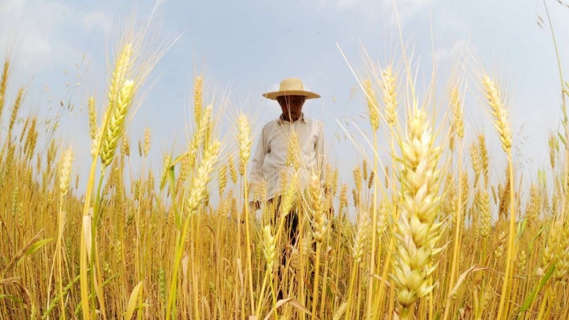 China's monetary,  China, business, People's Bank of China (PBOC) , Hymenopteron Cluster