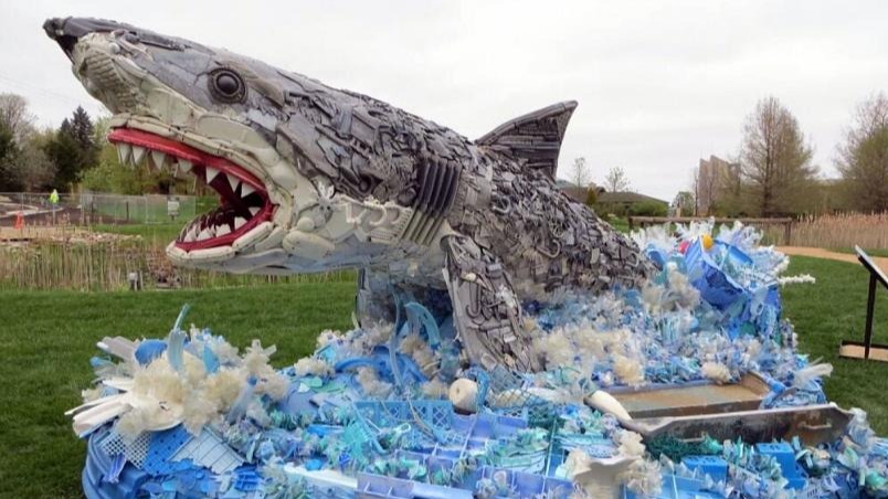 most travelers, Women ,  UN Agency, Whales ,  Republic Of Kenya