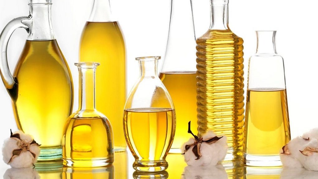 C16 Biosciences, Vegetable Oil, cells,  bread,  biscuits,  margarine,  frozen dessert,  chocolate.