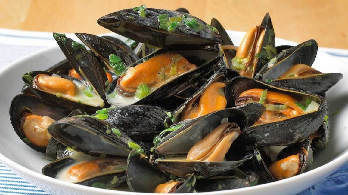 microorganism , infections, microplastics , pollution,  Brain tracks, bacteria , Molluscs