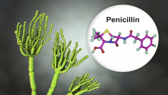 antibiotic drugs, allergies ,  European country, Penicillin, drug