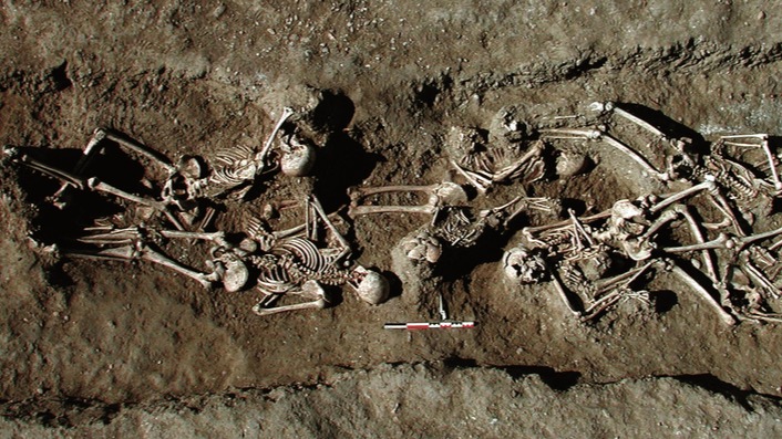 Bacterium deoxyribonucleic acid , skeleton , plague, Siberians,  human deoxyribonucleic acid ,  genetic structure of northeast Asians