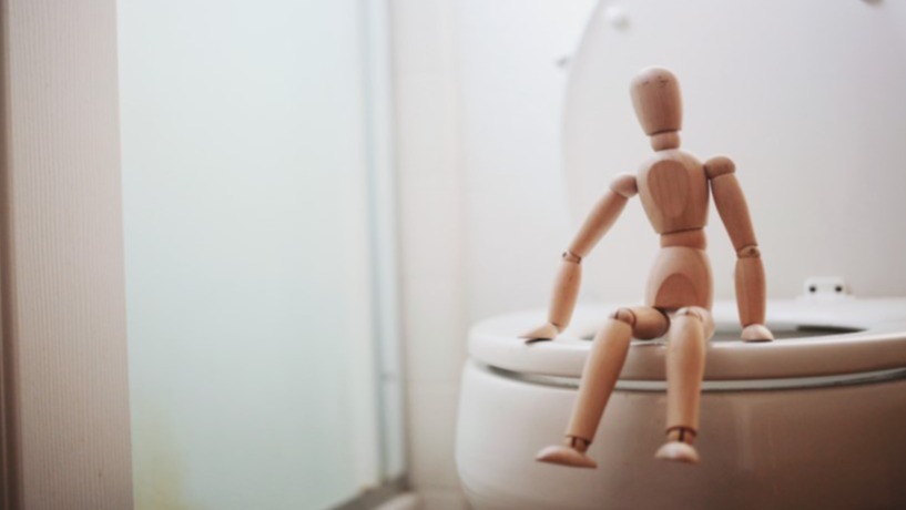 economical discharge , systema digestorium,  blood vessels,  the heart, WHO