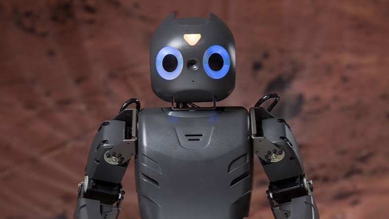 scientists and engineers, robots, Spontaneous Robotic , lively remember., particles,  robots,  animals