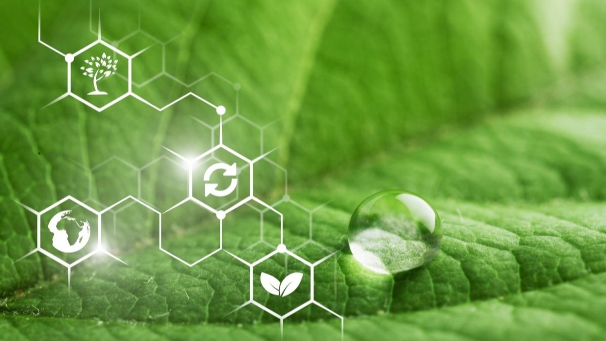 UV light,  alkoxybutenolide monomers, hydroxybutenolide, oxygen ,  Biomass, Green Chemistry