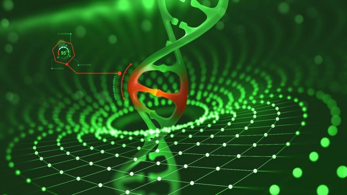 bacteria,  viruses,  fungi,  parasites, diagnostics , diagnose,  hepatitis e infection