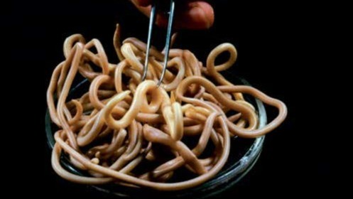 disregarded diseases, diphyllobothrium , populations, Europe, hygiene,  sanitation, worms