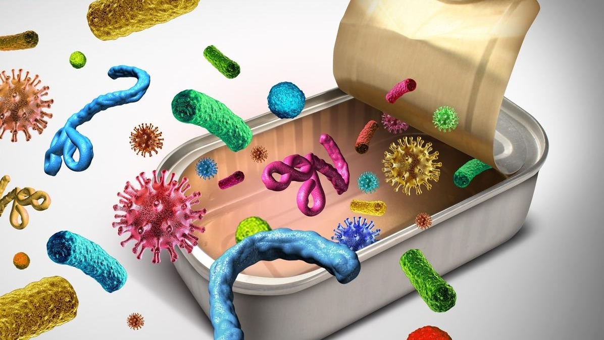 meals,  disease-inflicting micro organism, biophysics , bacteria, shapes