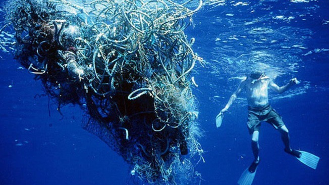 Posidonia oceanica, aegagropilae , plant fiber, ecology , environmental