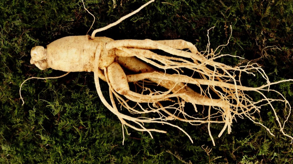 ethylene,  europe,  china,  america, soil sciences,  bioimaging,  arithmetic