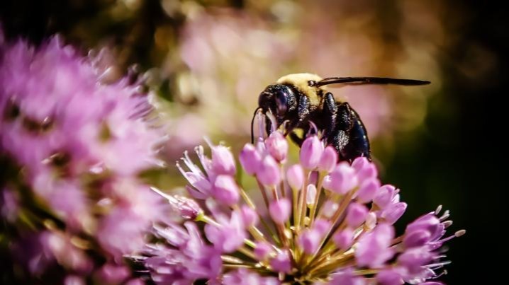 dramatic deterioration, Anthropocene, English-language, environment , china